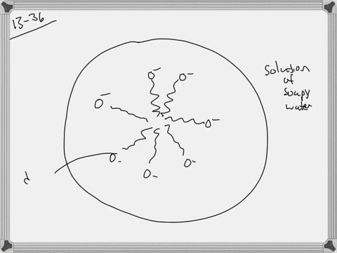 ⏩SOLVED:Draw a diagram of an oil droplet suspended in soapy water ...