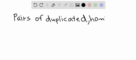 pairs-of-duplicated-homologous-chromosomes-end-up-at-opposite-spindle-poles-during-___________-a-pro