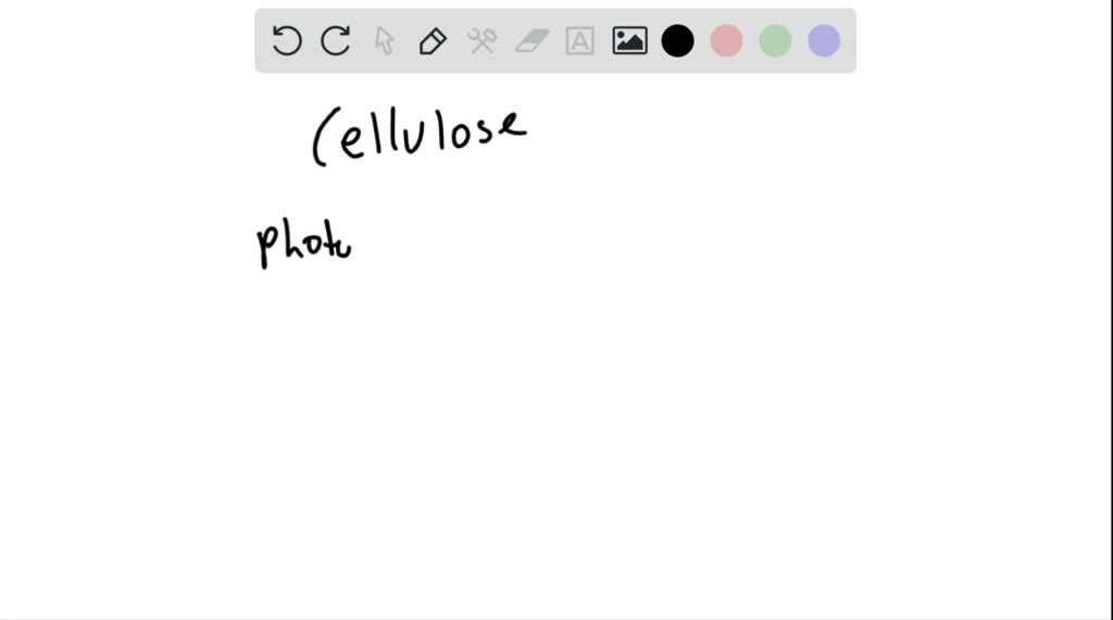 ⏩SOLVEDWhat do plants do with the sugar they produce in… Numerade