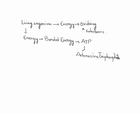 what-indicates-mathrma-to-mathrmd-in-the-given-figure-a-a-e-acceptor-b-electron-transport-system-c-c