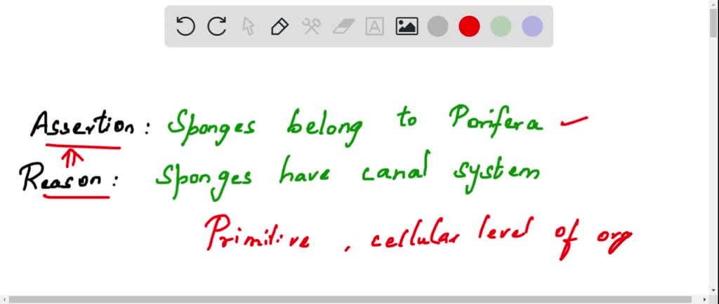 SOLVED:Assertion: Sponges belong to Porifera. Reason: Sponges have