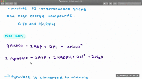write-a-balanced-equation-for-the-synthesis-of-alanine-from-glucose