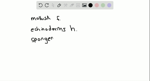 match-the-organisms-with-their-descriptions-__________-mollusks-__________-echinoderms-__________-sp