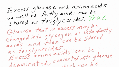 excess-glucose-and-amino-acids-as-well-as-fatty-acids-can-be-stored-as-triglycerides-true-or-false