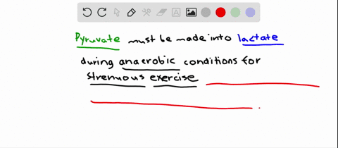 when-conditions-in-a-muscle-become-anaerobic-during-strenuous-exercise-why-is-it-necessary-to-conver