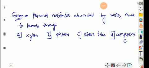 mineral-nutrients-absorbed-by-roots-move-to-leaves-through-a-xylem-b-phloem-c-sieve-tube-d-companion