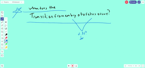 the-transition-from-embryo-to-fetus-occurs-a-immediately-after-fertilization-b-after-the-first-month