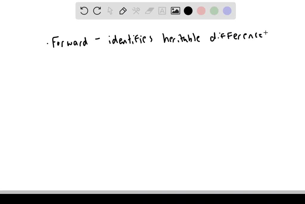 solved-what-is-the-difference-between-a-long-forward-position-and-a