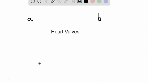Solved:which Chamber Initially Receives Blood From The Systemic Circuit? A.  Left Atrium B. Left Ventricle C. Right Atrium D. Right Ventricle Solved:which Chamber Initially Receives Blood From The Systemic Circuit? A.  Left Atrium B. Left Ventricle C. Right Atrium D. Right Ventricle