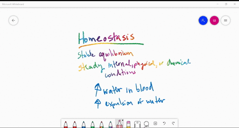 which-of-the-following-best-illustrates-homeostasis-a-most-adult-human-beings-are-between-5-and-6-fe