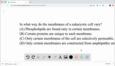 in-what-way-do-the-membranes-of-a-eukaryotic-cell-vary-beginequationbeginarrayltext-a-phospholipids-