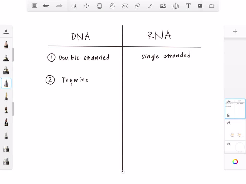 explain-the-difference-between-the-coding-strand