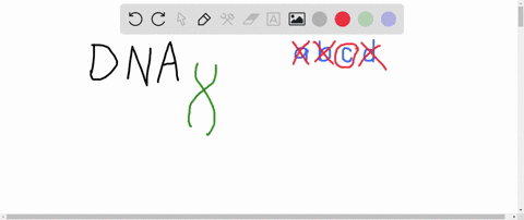 the-threadlike-structures-made-largely-of-dna-molecules-are-called-a-gene-complexes-b-nuclei-c-chrom