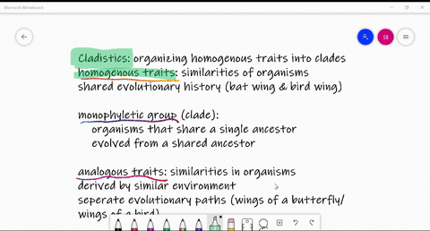 what-do-scientists-use-to-apply-cladistics-a-homologous-traits-b-homoplasies-c-analogous-traits-d-mo
