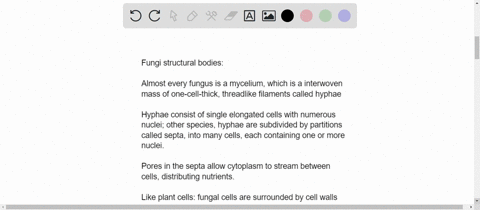 describe-the-structure-of-the-fungal-body-how-do-fungal-cells-differ-from-most-plant-and-animal-cell