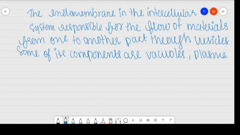 both-lysosomes-and-vacuoles-are-endomembrane-structures-yet-they-differ-in-terms-of-their-functions-