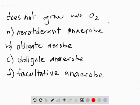 pseudomonas-aeruginosa-is-a-common-pathogen-that-infects-the-airways-of-patients-with-cystic-fibrosi