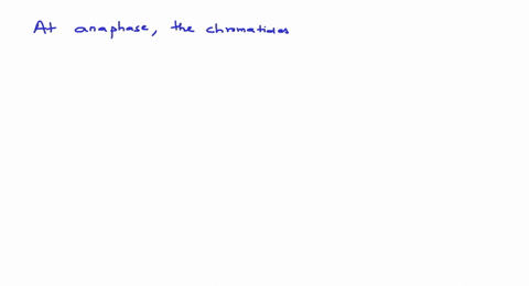 at-which-stage-of-mitosis-the-chromatids-separate-and-start-moving-towards-poles-a-prophase-b-metaph