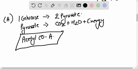 a-which-reaction-links-glycolysis-and-the-citric-acid-cycle-b-how-is-the-reaction-catalyzed