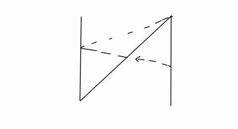 two-trees-have-perfectly-straight-trunks-and-are-both-growing-perpendicular-to-the-flat-horizontal-g