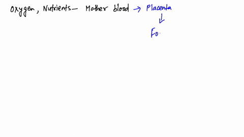explain-how-blood-circulates-to-and-from-the-placenta-and-the-fetus-how-is-blood-shunted-away-from-2