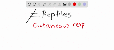 all-of-the-following-are-characteristics-of-reptiles-except-a-cutaneous-respiration-b-an-amniotic-eg