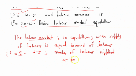 suppose-that-the-labour-supply-of-workers-is-lsw-5-and-the-labour-demand-is-l20-w-derive-the-labour-