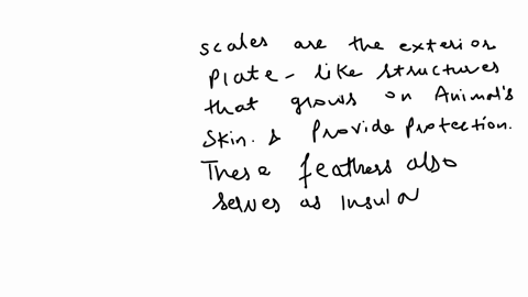 which-statement-about-bird-feathers-is-not-true-a-they-are-highly-modified-reptilian-scales-b-they-p