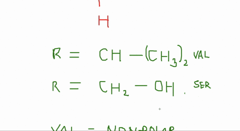 nonpolar-side-chains-in-alpha-amino-acids-tend-to-be-_______-whereas-polar-side-chains-are-most-ofte