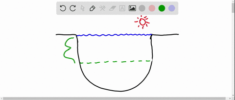 describe-how-and-why-photosynthetic-activity-differs-in-the-zones-of-a-lake-or-ocean