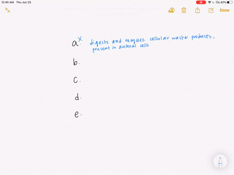 which-of-the-following-organelles-is-not-present-in-animal-cells-a-lysosome-b-golgi-apparatus-c-roug