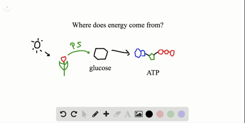 how-do-chemical-reactions-play-a-role-in-energy-transfer-a-energy-from-the-breakdown-of-glucose-and-