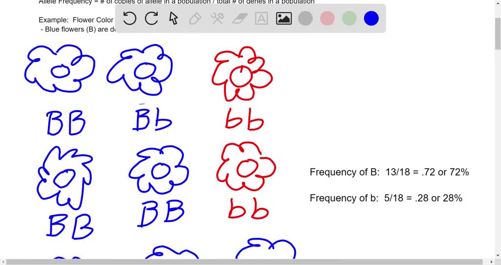 solved-what-is-a-gene-pool-how-would-you-determine-the-allele