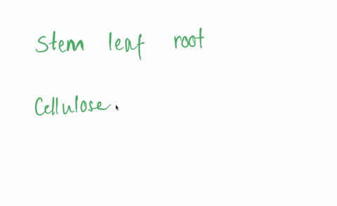 list-the-three-chemical-elements-that-form-the-structural-parts-of-plants
