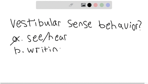 what-behavior-would-be-difficult-without-our-vestibular-sense-a-integrating-what-we-see-and-hear-b-w