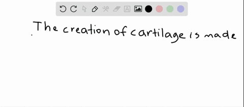 these-cells-are-responsible-for-the-formation-of-cartilage-a-osteoclasts-b-red-blood-cells-c-chond-2