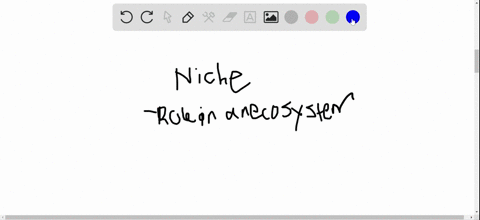 what-is-a-niche-page-545