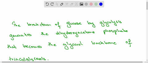 explain-why-adipocytes-need-glucose-as-well-as-fatty-acids-in-order-to-synthesize-triacylglycerols-2