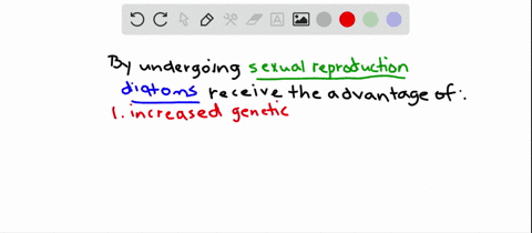 what-advantages-do-diatoms-obtain-from-sexual-reproduction-a-increased-genetic-variability-b-increas