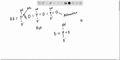 the-free-energy-released-by-the-hydrolysis-of-atp-under-standard-conditions-is-305-mathrmkj-mathrmmo