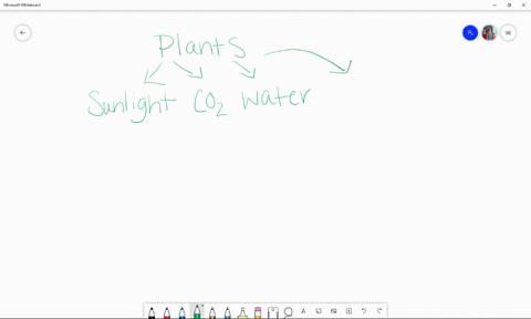 ______-is-often-a-limiting-factor-for-plant-growth-a-nitrogen-b-carbon-c-phosphorus-d-both-a-and-c-e
