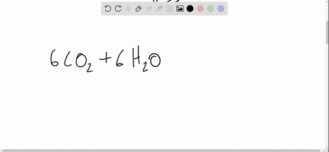 explain-the-reciprocal-nature-of-the-net-chemical-reactions-for-photosynthesis-and-respiration
