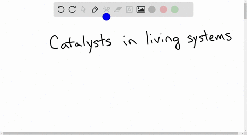 what-are-the-catalysts-found-in-living-cells-called-why-are-these-biological-catalysts-necessary