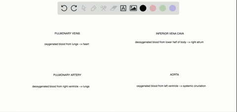 which-of-the-following-statements-about-the-circulatory-system-is-false-a-blood-in-the-pulmonary-vei