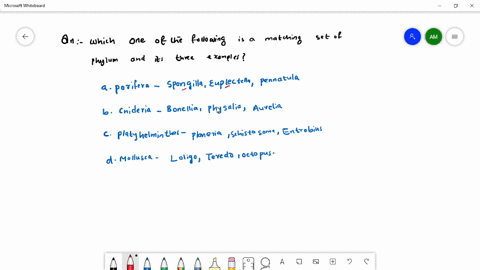 which-one-of-the-following-is-a-matching-set-of-a-phylum-and-its-three-examples-a-porifera-spongilla