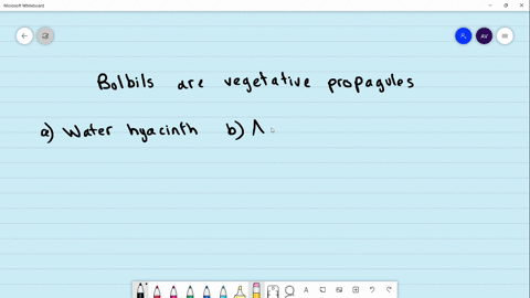 bulbils-are-vegetative-propagules-in-a-water-hyacinth-b-agave-c-potato-d-tomato