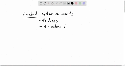the-tracheal-system-of-insects-a-consists-of-several-tracheae-that-connect-to-multiple-lungs-withi-2