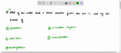 most-of-the-water-that-a-plant-absorbs-from-the-soil-is-lost-by-the-process-of-a-guttation-b-circadi