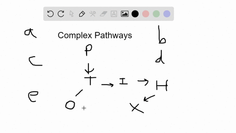 which-statement-about-the-following-pathway-is-false-a-a-mutation-for-enzyme-1-causes-phenylalanin-3