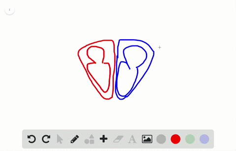 Solved:which Chamber Initially Receives Blood From The Systemic Circuit? A.  Left Atrium B. Left Ventricle C. Right Atrium D. Right Ventricle Solved:which Chamber Initially Receives Blood From The Systemic Circuit? A.  Left Atrium B. Left Ventricle C. Right Atrium D. Right Ventricle